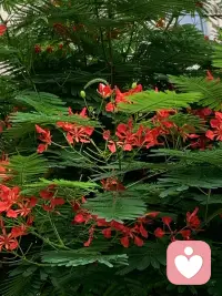 有人說生命在于靜止，有人說生命在于折騰……其實，懶有懶的安逸，折騰有折騰的樂趣。重要的是，你有享受過程的智慧，又有承擔后果的能力。配圖