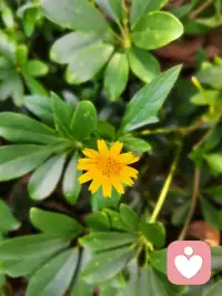 有人說生命在于靜止，有人說生命在于折騰……其實，懶有懶的安逸，折騰有折騰的樂趣。重要的是，你有享受過程的智慧，又有承擔后果的能力。配圖