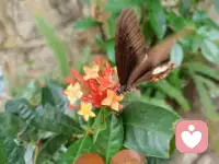 只有無(wú)所事事的人才會(huì)覺(jué)得孤單，朋友是在志趣相投的領(lǐng)域不經(jīng)意的偶遇，而不是為了突顯自己的人氣而隨意結(jié)識(shí)的群體。真正的朋友，會(huì)因?yàn)槟愕拿篮媒邮苣悖皇且驗(yàn)槟愕挠懞煤涂桃獠艑⒛慵{入交往名單。不需要討好全世界，只需要等待被你不斷完善的品質(zhì)吸引的人，主動(dòng)且樂(lè)意和你走到一起。配圖