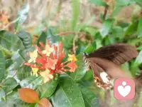 你愛你自己嗎？很多人不知道怎么回答這個問題，愛自己是怎么樣的？如果你不愛自己，而妄談愛別人，其實是不尊重別人，你不接受愛，卻要把這個不愛自己的東西給予另外一個人，這不是強迫嗎？只有一個人能夠懂得愛自己之后，才能更好地給予別人更多的關心和愛。配圖