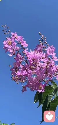 很多的爭吵其實(shí)不是出在溝通的內(nèi)容上，而是表達(dá)的方式。好搭檔更需要好溝通，溝通的前提是了解，了解自己與對方之后才能以舒適的方式表達(dá)，這是需要練習(xí)的~！咱早安！配圖