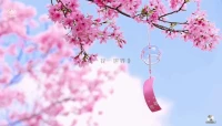 看到什么就会得到什么，其实不是知识与智商决定命运，而是思维模式决定命运。
最简单转变自己思维模式的办法
改变自己生命的方法就是“不抱怨”