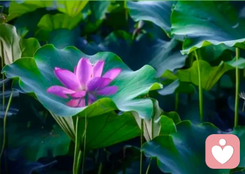 患了抑郁癥，如何評估是輕度還是中度、重度抑郁癥？