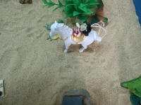 人之所以活著，是因?yàn)槲覀兊娜松姑枰覀內(nèi)ンw驗(yàn)去發(fā)現(xiàn)去創(chuàng)造去超越，這樣生命鮮活了，就有意義了。好好活著，所有的事故和故事都值得回味、珍惜!配圖