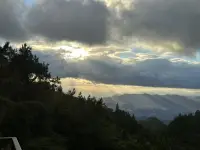 当你开始追逐自己内在的光，你就已经是一个自由人了