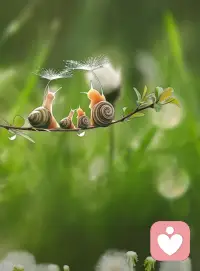 #婚姻家庭#終于有人問到我婆媳關系以及如何破解媽寶的坑了。作為過來人，真不是幾句話可以說的清楚。每一個媽寶背后，都有一個缺席的父親。喪偶式育兒代代相傳。美國家庭治療創始人薩爾瓦多·米紐秦回憶與貧民區家庭的工作：“這些家庭的對話是混亂的，但是他們的行為方式和他們之間的關系卻是可以觀察得到的。所以我從不糾結于他們使用得措辭和語法背后的意義。我看人是通過思考，家庭組織是什么，什么樣的方式讓人覺得被拒絕或被支持。我的介入是為了增加關系的可供選擇的余地?！泵准~秦說：“一段延續40年的婚姻，無論多么美好，也會有200次離婚的念頭，和50次掐死對方的沖動?！辈簧偃穗x婚后最后發現又在重復以前的行為模式，根本原因是沒有意識到婚姻的本質是相似的，終歸要落實到一粥一飯的平凡和瑣碎的事務性工作去中。如果不能調整心態看待這些“uglymoment
