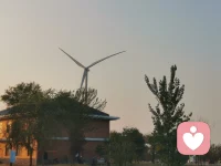 #咨詢的價值#著名臨床心理學家馬文·戈德弗里德提出有效心理咨詢中的五大共同要素：1.來訪者的期望；2.咨訪關系；3.看待自己新的視角；4.矯正性的體驗；5.不斷進行現實檢驗。考西尼則在其《心理咨詢與心理治療的理論與體系》中，提出治愈的九大因素，并將其歸結為我們的生活準則：認識自己、愛人如己，善行善言。敬天愛人，由己及彼。每一場咨詢都是一次雙人舞，每一個案例都是一次深入心靈的對話，永遠唯一，獨一無二。感謝您邀請我回到你的生命現場，一起追溯“見證我為什么是今天的我”的生命故事。配圖