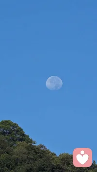 #心理分析#“陰影只是有點(diǎn)低級(jí)、原始、不適應(yīng)和笨拙，但它并不完全是壞的。它甚至包含了……在某種程度上會(huì)給人類(lèi)的存在帶來(lái)活力和美化的品質(zhì)，但通常情況下這是不允許的”。“…毫無(wú)疑問(wèn)，總的來(lái)說(shuō)人沒(méi)有他想象的或想要的那么好。每個(gè)人都背負(fù)著陰影，其在個(gè)人的意識(shí)生活中體現(xiàn)得越少，陰影就越黑暗、越稠密”。——卡爾·榮格《心理學(xué)與宗教》不能接受自己陰影的人，也無(wú)法體諒、理解別人的陰影。正是因?yàn)椴煌昝溃拍艹蔀榛钌亍⑵咔榱娜恕煸趬ι系模廊サ模攀峭昝赖娜恕Ｅ鋱D