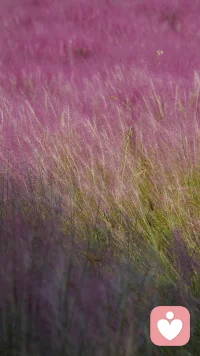 #心理分析#“陰影只是有點(diǎn)低級(jí)、原始、不適應(yīng)和笨拙，但它并不完全是壞的。它甚至包含了……在某種程度上會(huì)給人類(lèi)的存在帶來(lái)活力和美化的品質(zhì)，但通常情況下這是不允許的”。“…毫無(wú)疑問(wèn)，總的來(lái)說(shuō)人沒(méi)有他想象的或想要的那么好。每個(gè)人都背負(fù)著陰影，其在個(gè)人的意識(shí)生活中體現(xiàn)得越少，陰影就越黑暗、越稠密”。——卡爾·榮格《心理學(xué)與宗教》不能接受自己陰影的人，也無(wú)法體諒、理解別人的陰影。正是因?yàn)椴煌昝溃拍艹蔀榛钌亍⑵咔榱娜恕煸趬ι系模廊サ模攀峭昝赖娜恕Ｅ鋱D