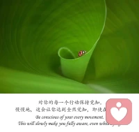 凡永恒偉大的愛，都要絕望一次，消失一次，一度死，才會重獲愛，重新知道生命的價值。——木心《文學回憶錄》配圖