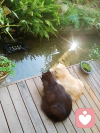 #婚姻#薩提亞治療模式：薩提亞建立的心理治療方法，最大特點(diǎn)是著重提高個(gè)人的自尊、改善溝通及幫助人活得更“人性化”而不只求消除“癥狀”，治療的最終目標(biāo)是個(gè)人達(dá)致“身心整合，內(nèi)外一致”。

做一個(gè)真人，而非全人。只有當(dāng)情緒能夠流動(dòng)能夠表達(dá)，能夠被看見(jiàn)的時(shí)候，才會(huì)產(chǎn)生交流和鏈接。一個(gè)人只有可以做自己而不用擔(dān)心被指責(zé)、評(píng)判時(shí)，才能感受到自由、尊重和愛(ài)。才有能力去突破和創(chuàng)新。配圖