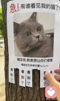 #名人名言#
完美是丑陋的。在人類制造的事物中，我希望看到缺憾、失敗、混亂、扭曲。完美是秩序與和諧的呈現，是強制力的結果。自由的人類，不會期望這樣的東西。
——山本耀司

ps.完美主義者的本質是自戀。從小被灌輸勝負的觀念，不能接受自身的不足或失敗。往往用絕對化或者以偏概全的思維去面對自己的不足，導致內心焦慮、恐懼，直至抑郁、絕望。而真正心智成熟的人多具有哲學家的素養，知道有光的地方必然有陰影。因此能夠接受自己的平凡和缺點。也能夠看到、包容別人的缺點。配圖