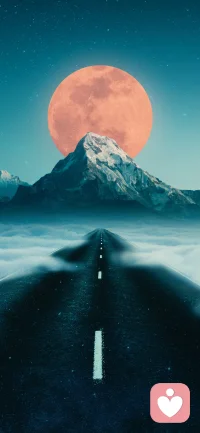 大多數人并不真的想要自由，因為自由包含責任，而大多數人害怕責任。

——弗洛伊德配圖