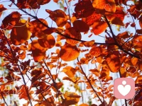 #戀愛#
讀到“一個成熟的人往往發(fā)覺可以責怪的人越來越少，人都有他的難處。”
《我們不是天使》

看到大齡青年被催婚的焦慮有感：當一個人可以自我負責時，就不會被生活中的種種不如意歸因給他人：原生家庭、配偶、戀人。也不會因為別人的看法而違背背心做出匆忙的選擇。

當一個人開始自我負責時，不會患得患失四顧尋找愛，而是開始尋找自己。榮格說向外看的人在做夢，向內(nèi)看的人才是清醒的。把尋找愛的精力放在自我充實上，當你成長，獨立、自信的時候，整個人都是發(fā)光的。沒有人能是別人的拯救者，除非你自己愿意開始自我負責。一個100分的女孩會吸引到100分的男孩和靠近她，而一個30分的女孩，也只能吸引到30分的男孩走過來。配圖