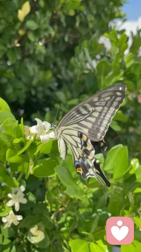 #互動答疑#小小咨詢。誘惑是生命永恒的躁動。但只有深入走進一段關系的人不斷成長的彼此，才能擁有不離不棄，白頭偕老的人生。

早上起來看到一個非常典型的問題，隨手回答了下。如圖。
“理解您的感受。感受到您的努力和優秀、以及不忍傷害的善良。因為當年的錯誤的自我感知，把別人的仰慕當作了愛。但同時，您也從對方的愛里汲取了營養和力量哦。有她在背后沒有自我的付出，才有您在前方的心無旁騖一直上進哦。

但事實沒有100%對的人哦。誘惑是永恒的。科學研究說愛情的激情持續18個月后開始遞減。過來人告訴您即便是意中人，100%絢麗多彩的戀愛，也終需落地走進雞毛蒜皮的人生。當仙子落入凡塵，一日三餐吃飯拖地洗衣，輔導2個孩子作業，您和意中人一起試試？如果自信您們的感情可以經得起平淡歲月的瑣碎，可以安撫好對妻子和孩子的創傷，給足夠的安全感（如果沒有愛，給很多錢也好），那么不妨勇敢、坦誠追求愛。

只是您確認您追求的是真愛，而不是刺激么？刺激是永遠躁動、永遠需要更新的。”配圖