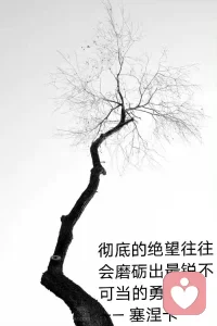 瀏覽了下論壇，很多時(shí)候困擾我們的問題都錢的問題。而錢的問題，歸根到底是認(rèn)知的問題。父母早年沒能幫我們更好成長、更好規(guī)劃。父母也有他們的認(rèn)知局限和成長創(chuàng)傷。那么成年后的我們必須學(xué)會(huì)自我負(fù)責(zé)。沒有人可以拯救另外一個(gè)人，除非你愿意成長。

咨詢師不能解決掙錢的問題，但可以解決您的認(rèn)知和情緒的問題。咨詢師也必須面對(duì)自己的有限性，不能去解決每一個(gè)人的問題，只能走進(jìn)有限的幾個(gè)人的生命，用心靈去影響另一個(gè)心靈。

與其漫無目的聊天，不如彎腰低頭落實(shí)行動(dòng)。哪怕學(xué)習(xí)也是積累。進(jìn)一寸有一寸的歡喜。如圖，想得太多，做的太少的時(shí)候，焦慮和壓力會(huì)像空氣一樣把您包圍，無處可逃。配圖