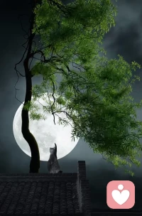 #自我療愈#我的微博多和我線上或線下咨詢工作相關，有時是咨詢記錄的補充或學習感悟。是可以公開的心情日記。

《肖申克的救贖》里說：“任何一個你不喜歡又離不開的地方，任何一種你不喜歡又擺脫不了的生活，就是監獄。”

工作、感情、婚姻也是。越獄需要勇氣、智慧和底氣。要擺脫舊的生活秩序，就必須有承受傷筋動骨的勇氣。每個人總有一段難捱的時光，把人生變得波瀾壯闊。而人除了接受和成長，別無他途。當心可以平靜下來臣服而不是抱怨后悔時，就能帶來思考，找到努力的方向和出路。配圖