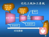 #育兒#毋庸置疑，成就感影響我們信心和自尊。研究表明，更高成就感的人更容易長壽。當我家孩子是學霸的時候，我發現她是自信、輕松的、自由綻放的。由此也給她帶來更多安全感，被老師喜歡，被同學仰慕或喜歡。放松又讓她能幽默風趣愛分享，這又給了她很好的人際關系。看到她在一個良性循環的路上，家長是非常欣慰和放心的。因為終有一天父母需要退出她的世界。

分析一個關于記憶、提高成績的小訣竅。及時復習有它背后的心理學原理。通常學習過目不忘的大概只是少數人的天分，普通人只能通過發現學習規律來提升自己的成績。德國心理學家艾賓浩斯在1885年提出記憶的遺忘曲線（圖一）。他發現人們新學的知識，從學完后就會開始遺忘，一天后就會遺忘65%，在第三天會遺忘70%，到第七天就只剩下25%的記憶量了，后面就遺忘的越來越慢，越來越少，記憶量趨于穩定。

艾賓浩斯遺忘曲線的規律是：遺忘在學習之后立即開始，而且遺忘的進程并不是均勻的。最初遺忘速度很快，以后逐漸緩慢。大腦對于新知識的遺忘，主要集中在第一個星期，一個星期后，記憶量就趨于穩定了。如果我們在一星期內及時復習起到事半功倍，加深記憶的效果。

圖二是和記憶相關的三級加工系統，記憶分為瞬時記憶、短時記憶和長時記憶。配圖