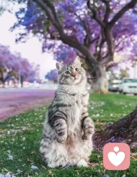 #與生命和解#早安！讀到：當你的能量越來越高時，就能看到每一個人的不得已。沒有好壞高低分別之心。只是對方當下能量所處的頻率不同而已。接納自己當下，也允許別人如是。

言慢者貴，性柔者富，德厚者昌。善反思者必有成長。積善之家必有余慶。配圖