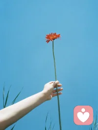 #不得已#有没有时常被社会道德良俗携裹着向前的感受？无力反驳。研究表明，“我们在超越道德底线的时候，也有可能服从权威”。雪崩时每一片雪花都不是无辜的。

1961年，耶鲁心理学家开始探索人类的权威服从可以到什么程度。他们想要知道，人的道德底线和权威服从的冲突，怎样的。这个实验最初的目的是探索二战中纳粹为希特勒做事的心理。

在这个实验中，实验者要求两人分别扮演“老师”和“学生”，他们看不见彼此，但可以听到彼此的声音。“老师”在实验者的指导下，要求学生每次犯错时都对他进行电击处罚（实际上学生并不会被电击）。实验者用事先录好的音频来模拟被电击的学生的痛苦反应。如果“教师”向实验者提出，学生太痛苦，他“看不下去”，想要停止电击的时候。实验者会要求他继续电击。在第一个实验中，百分之65的实验者执行了450伏特的电击（非常强烈的电击），尽管他们这样做心理会很纠结，很矛盾。

这个实验显示，人类是可以盲目服从权威的，尽管在权威挑战他们道德底线的时候。配图