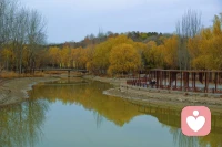 #咨询与阻抗#荣格说只有受伤的医师才能治愈。中科院心理所的一项研究中说75%的咨询师都是从创伤中涅槃重生的。在很久之前初次读岳晓东老师《登天的感觉》一书时，我已经走上上心理咨询的道路。但这本书对新入行或来访来说仍然很有价值，通俗易懂。书内描述他是如何走上心理咨询的道路，形象、准确普及了咨询工作是怎么开始的，以及咨询的价值。

他说：阻抗，可谓是心灵的皮肤和免疫系统。阻抗的识别，往往是心理咨询突破的开端。没有阻抗的来访者，就像失去免疫能力的患者”。


图三奥森西门莲花池湿地附近，很美的意境，天天能看时反而不能发现她的美。配图