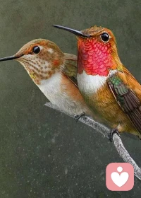 #愛與自由#一只站在樹上的鳥兒，從來不會害怕樹枝斷裂，因為她相信的不是樹枝，而是她自己的翅膀。

一旦完全依賴，就會產生不安和恐懼。哪怕最親密的關系，也需要有呼吸和獨處的空間。相愛，又不至于失去自我，永遠保持飛翔的能力，是很多婚姻愛情長久的秘密。配圖