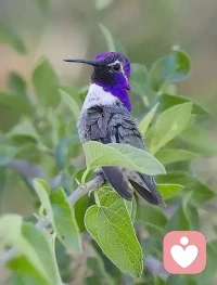 #愛與自由#一只站在樹上的鳥兒，從來不會害怕樹枝斷裂，因為她相信的不是樹枝，而是她自己的翅膀。

一旦完全依賴，就會產生不安和恐懼。哪怕最親密的關系，也需要有呼吸和獨處的空間。相愛，又不至于失去自我，永遠保持飛翔的能力，是很多婚姻愛情長久的秘密。配圖