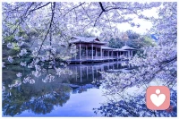 讀到傳統文化的雅稱覺得十分美好。一年四季四時都會有變換，我們又怎么能苛求生活里沒有起伏呢。春播夏長，秋收冬藏。只需要相信播種和努力永遠不會嫌晚。為每一個未知的明天加油，期待一個更好的自己。

四季季節雅稱：
春東皇，夏長贏，
秋素商，冬元英

十二個月雅稱：
正月孟春，二月花朝
三月報春，四月清和
五月仲夏，六月林鐘
七月上秋，八月清秋
九月桑落，十月霜華
十一月隆冬，十二月暮歲配圖