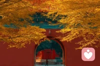 讀到傳統文化的雅稱覺得十分美好。一年四季四時都會有變換，我們又怎么能苛求生活里沒有起伏呢。春播夏長，秋收冬藏。只需要相信播種和努力永遠不會嫌晚。為每一個未知的明天加油，期待一個更好的自己。

四季季節雅稱：
春東皇，夏長贏，
秋素商，冬元英

十二個月雅稱：
正月孟春，二月花朝
三月報春，四月清和
五月仲夏，六月林鐘
七月上秋，八月清秋
九月桑落，十月霜華
十一月隆冬，十二月暮歲配圖