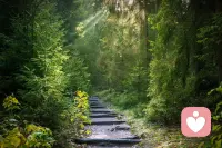 #夢#我一無所有，又萬事具備；我向現實挺進，也向夢境追尋……——歌德《浮士德》

弗羅伊德和榮格夢的解讀略有不同，詳見主頁文章。弗洛伊德認為：
1.夢是有意義的。弗洛伊德認為夢的意義在于滿足欲望，這種欲望可能是被壓抑的，也可能是顯而易見的。

2.夢的材料和來源是最近幾天的事情。弗洛伊德認為最近幾天印象比價深刻的時候會成為做夢的素材。

3.弗洛伊德認為夢是通向我們內心潛意識的捷徑。他認為潛意識看不見摸不著，所以人要了解自己的潛意識是很難的，通過解析自己做的夢就能了解自己的潛意識。

榮格接受了這種觀點，但他走得更遠，認為夢還借助于第三個更深刻得多的根源，它屬于人類進化的歷史，他稱之為集體潛意識。

弗洛伊德相信，導致夢的產生的那些被禁止的愿望在本原上主要是性欲的。而榮格則堅信，夢起源于人類更加廣泛的關注，也就是說是對人類存在這一基本問題的關注。

ps.《浮士德》和《金花的秘密》是對榮格影響至深的兩本書。如果到了高階，推薦閱讀。
晚安，做個好夢吧。我是咨詢師，也夢境收集師。歡迎留言和我聊聊你的夢與人生。配圖