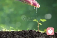 #生命的力量#鸡蛋从外打破是破碎，而从内打破则是新生。我们每个人都有向前、向上、成长的内在动力。这不是能力的问题，而是生物进化，物种得以延续的本能。这种本能像金子一样宝贵，一旦觉察和启动，就一定会向上生长。合格咨询师就是那个来帮我们找到种子发芽力量的人。

弗洛伊德说，”工作和爱，是人生的两大支柱。” 独立的生存能力带给我们的不是一份收入，还有尊严和同事伙伴关系。一定要远离让你深陷漩涡泥淖的关系、工作、地方或甚至伴侣，去重建我们喜欢的社会支持网络。这个网络可以是陪您一程的咨询师，之后是朋友、恋人、师长、培训班同学、甚至参加公益活动的同路人。那时候就会创造一个属于我们自己的世界，一个自己能够给予和收获的世界。

爱是人世间所有心灵创伤唯一的解药，也致敬每一颗努力挣脱命运漩涡的心灵。咨询师就是茫茫大概上与您同在的岛屿，可以随时供您生命的小船栖息、加油再目送您启帆远航！配图