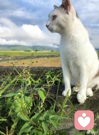 “命運會區別對待認知水平不同的人。”
被擊中的感覺。這世界能給人安全感的東西：知識、愛、財富。
有了知識，后面兩項都會跟著過來。唯有知識是源源不斷生長的，有付出一定就有回報，能。抵御世間百態寒涼。
而愛和財富，投入不一定會有回報。
以上種種，當然越多越好。配圖