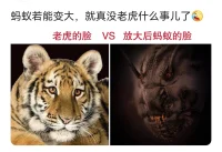 #夢的解析#
有一次白居易以偈語請教鳥窠禪師：
“特入空門問苦空，
敢將禪事問禪翁。
為當夢是浮生事，
為復浮生是夢中?！?
鳥窠禪師就以這首詩作答：
“來時無跡去無蹤，
去與來時事一同。
何須更問浮生事，
只此浮生在夢中?！迸鋱D