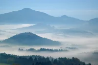 “人人都有病。就看誰先瘋”。最近看到老外曹操有個視頻說他為什么開始做心理咨詢。他說，如果完全正常的人（受傷的人），那只是你對他的了解還不夠深刻。一個看起來一切都好的人，內心深處也有一些藏起來不愿碰的東西，都放在后院木屋里了。久而久之連那片的后院都不愿去了。再往后，連客廳都不愿去了，因為到了客廳能看到后院。

而心理咨詢師就是那個要拉著他的手走到客廳，在走進后院的人。你不用永遠回避、躲避最后變成心病。

上醫治未病之病。心理咨詢室讓我們提前消除隱患，給自己心靈加油充電的秘密基地。讓我們新的一年心無掛礙，勇往直前，走向星辰大海。配圖