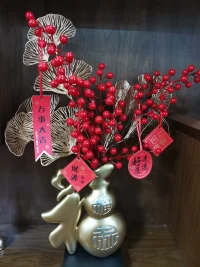 美好的新年愿望！配圖