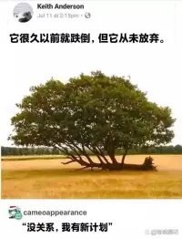 #失眠焦慮#焦慮并不只存于大腦中，也存于身體中，比如肌肉緊張、呼吸短促、心悸等。所以，有關于肌肉放松的訓練和呼吸法可以抑制焦慮對身體的影響，從而降低或擺脫焦慮。

如果能安心，睡的好。情緒得問題也很大程度會緩解了。配圖