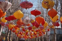#螃蟹效應#
轉(zhuǎn)：蕭伯納說過：“明智的人讓自己適應世界，不明智的人則堅持讓世界適應自己。”一個人成熟的標志，就是能夠不斷接受挑戰(zhàn)，適應社會的迭代更新。

在自然界中，螃蟹看似是一種弱小的動物，但是它們卻在地球存活了5億多年，并且至今依舊延綿不絕。當一只幼小的螃蟹想要長大，它就必須經(jīng)過蛻殼這一關(guān)。它會先將舊殼中的碳酸鈣吸收出來，并存儲在體液之中。然后從舊殼內(nèi)長出軟柔的皺折，而皺折會慢慢撐開，變成螃蟹新的殼。

這個過程，充滿了痛苦和掙扎。但一旦完成，新長出的殼就能化作它們的保護套，幫助它們抵御天敵的襲擊。

這個世界唯一不變的是變化。明白了這個邏輯，就能接受生命中的來來去去。更積極的人，會主動走出自己的舒適區(qū)，去創(chuàng)造變化。只有讓自己不斷蛻殼，才能看見更廣闊的天地。配圖