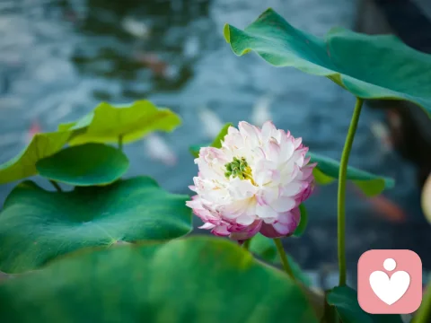 存在主義哲學(xué)是對人生的終極關(guān)懷