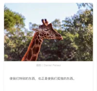 詩酒趁年華。
推薦紀錄片《蘇東坡傳》，可以拯救療愈很多代人了。配圖