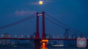 低欲望时代,个体与世界的关系