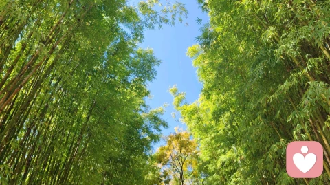 焦慮型來訪驚恐發作時怎么處理