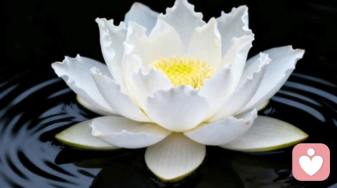 原生家庭创伤：客体分离，独立自我是什么样的