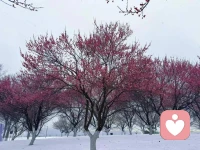 从《在世界的枝头短暂停留》中，收集了一些李银河对于生命、宇宙的感受：

◆ 冥想是对存在的鸟瞰。

◆ 但是无论人制造出多少热闹，宇宙还是静寂的。

◆ 短暂的生命如飞逝去，像奔流的溪水，像劲吹的狂风。

◆ 把生命耗费在自己喜欢的事和人身上，否则是虚度，是白白浪费生命。

◆ 人生的常态是寂静的，无所作为的；热闹，辉煌，精彩，成就，全都是人生的非常态。

◆ 无论生活中有多少欢乐，其基调还是悲哀的。源于生命的偶然、短暂和无目的。

◆ 宇宙是寂静的，世界是寂静的，人世是寂静的，我的心也随之寂静下来。所有的喧闹和聒噪都无意义，而且最终会归于静寂。

◆ 人生就是一个又一个清晨，太阳照样从海面升起，但是每天的景致都略有不同，有时彩霞满天，绚烂无比；有时乌云厚重，阴沉抑郁。配图