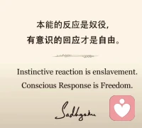 督导体验分享。我们都是自己生命现场的第一负责人。顺带分享一组我时常琢磨的金句。每一张都让人思考良久。我们都是自己生命现场的第一个责任人。
 
面对咨询中任何难以启齿讨论的感受，越尝试去抓捕捉它、越努力打开去碰撞火花，“改变”就真会的发生了。所以我很感谢我的来访们对我不离不弃，对我表达需求，哪怕是攻击（我一定也有不够好时候🙏，谢谢您邀请我与你一起同行这一程）。 重要的是我们如何在冲突不满时能克制本能的回避抛弃，而是尝试去“不带情绪地、清晰的表达出真实自我，哪怕是攻击”也都有意义的。所以任何没有底层价值冲突的关系，浅尝辄止都是很可惜的。
 
这一时刻能发生，取决于几个前提：
1. 觉察感受并能把它言语化，
2. 你首先得有自我，或是渴望找“自我”哪怕是模糊的不完美的但也是宝贵的，独一无二的“我”。
3. 一段信任共舞的关系。 对面是是个人格成熟、三观认知在线的人。
 
来访和咨询师的关系，是来访在生活所有关系的缩影，活的样本。付费机制下的讨论，不真实“不发疯”不犀利一会都浪费了呢………别担心咨询师能不能接住你，那是她的修行和功课。🐣
 
我在#桑河的笔记下发布了一条评论：
李鸣老师督导时说过一句话，任何人不能代替咨询师本人对来访的感觉和判断。督导师也不能。转介是需要和来访讨论彼此卡壳的感受，如果能链接通畅，就不必转介。反而因为来访的信任，会倒逼咨询师去额外的学习持续精进。
 
目前，各大平台都不允许对督导的水平公开评价，像开盲盒一样只能看对方说什么就是是什么了。[失望R]更看不到督导师的来访对他们的评价。遇到临床经验丰富的督导师，是稀缺宝藏。配图