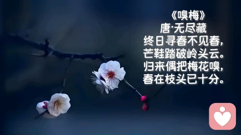 宗萨仁波切对爱情的看法