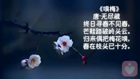 宗萨仁波切对爱情的看法