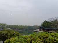 飛鳥低空掠，作景桂林游配圖