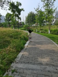 如何选择咨询师
1、要有学历教育（证明咨询师有扎实的理论基础）
2、要有长程培训（一次两年的那种，这种才可以真正掌握咨询的方向，能站在来访者的更高层面上引导，有效利用时间）
3、必须要有伦理培训经历（这是咨询师的基本功，否则就会伤害来访者）
4、选择比较成熟的流派（精神动力学流派的需要有一定时间的个人体验或觉察）
5、最重要的就是看你跟咨询师的匹配程度，舒适的咨询关系是咨询是否成功的必要条件
🧚‍♂️🧚‍♀️🧚‍♂️