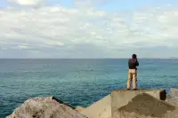 一路走來，我們會遇到形形色色的人，看到各式各態的行為。

通過他人，看清自己，是一個了不起的能力。

以人為師，學的是師者優點

以人為鏡，卻可以照見善惡交織的自己。

故，一切人，皆可做菩薩示現。

學“好”，也可以學“不壞”。配圖