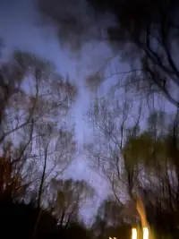 以直報怨,以德報德，是真修養。
以公道的態度對待自己怨恨的人，把恩惠施與對自己有恩的人。對待自己的敵人不要挾私報復，對待恩人要感恩圖報。配圖
